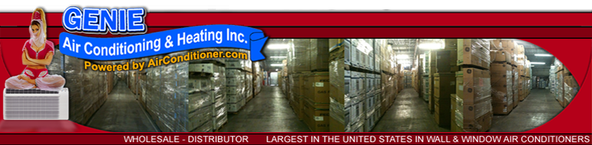 Los Angeles Ductless AC System